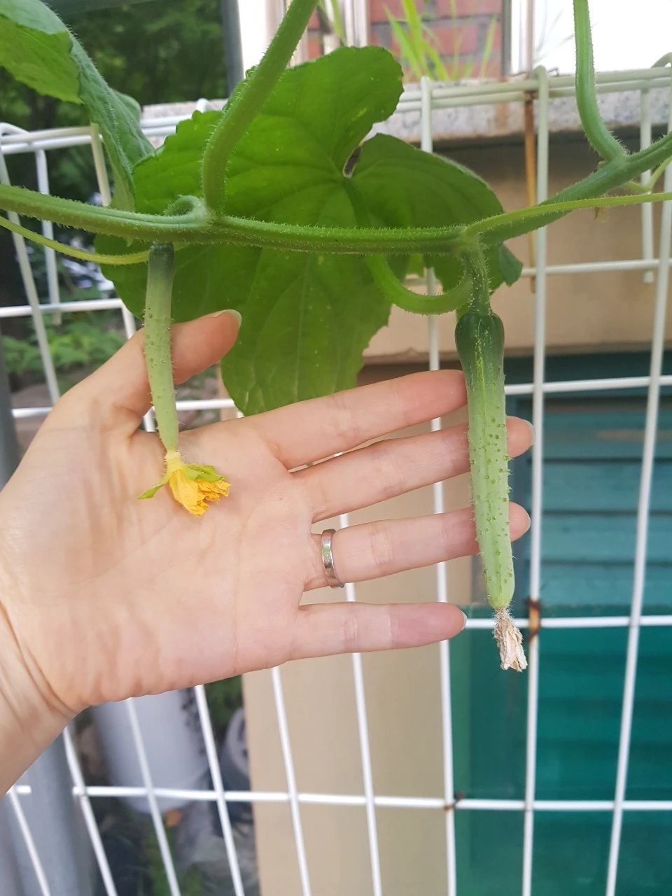 7_jebUd018svc1k0jo6ef99acx_dem4yl.jpg?type=e1920_std