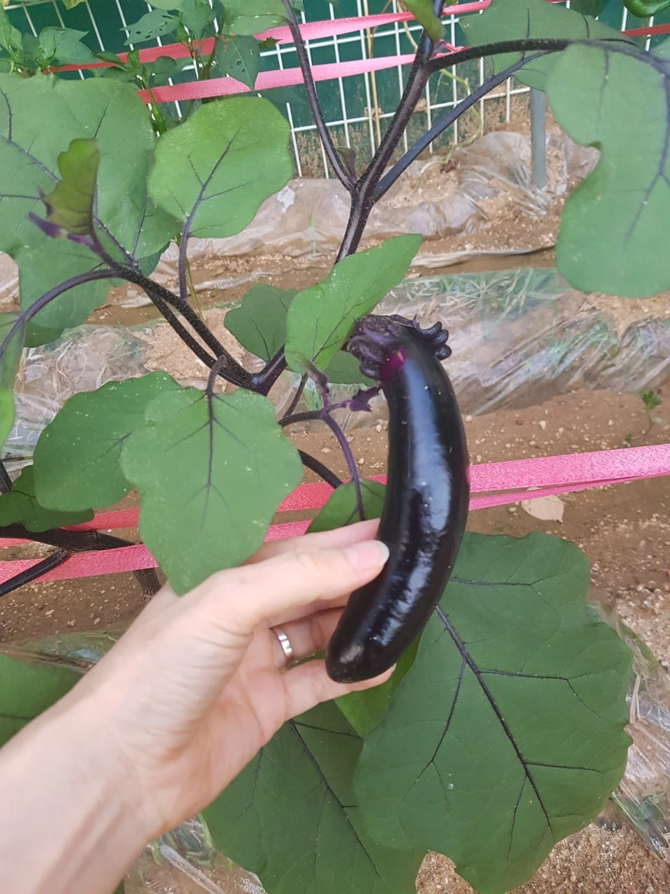 6_de7Ud018svc11xpsaf62tpgp_dem4yl.jpg?type=e1920_std