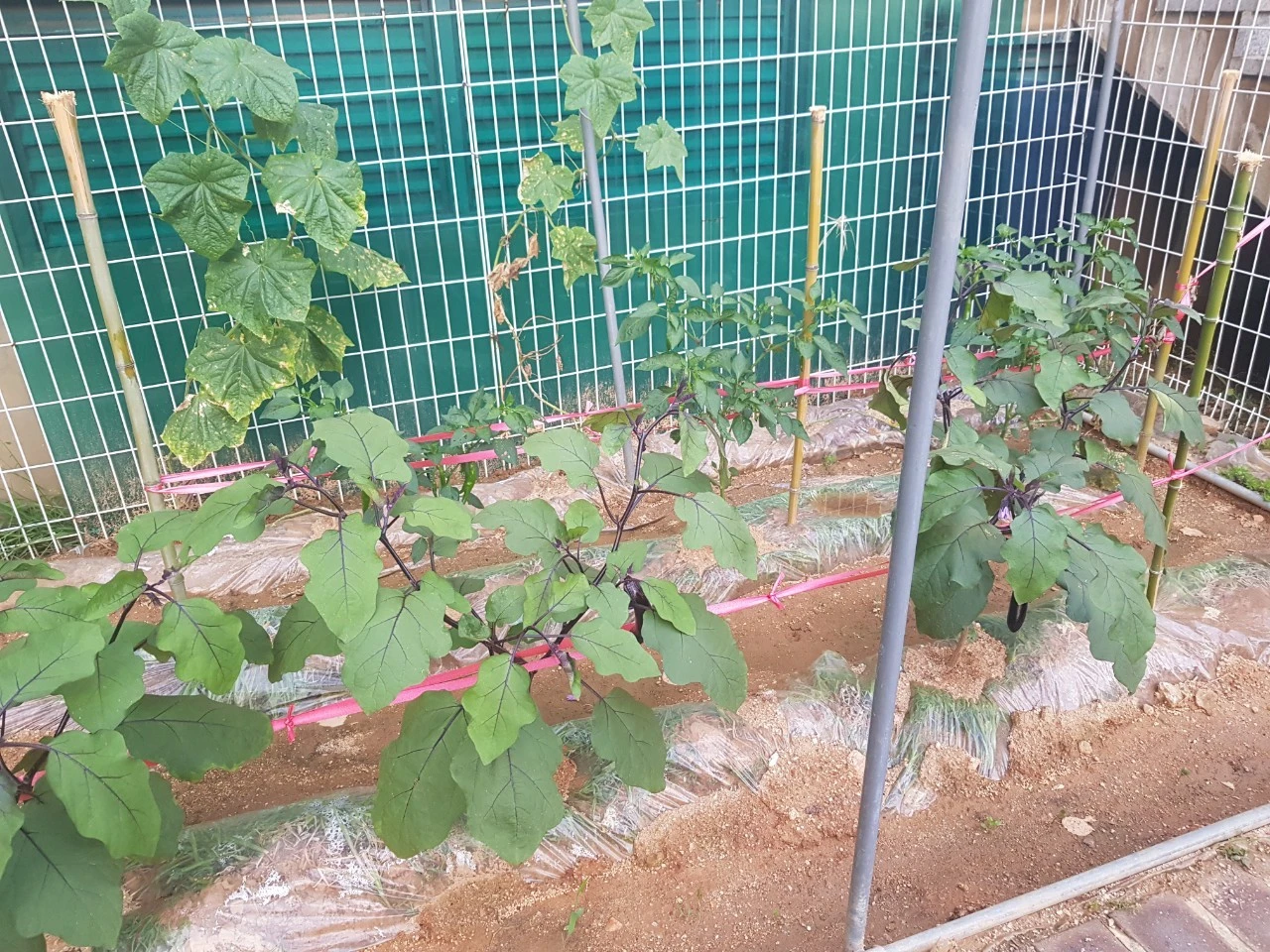 6_he7Ud018svc4ymrdf1cuqgr_dem4yl.jpg?type=e1920_std