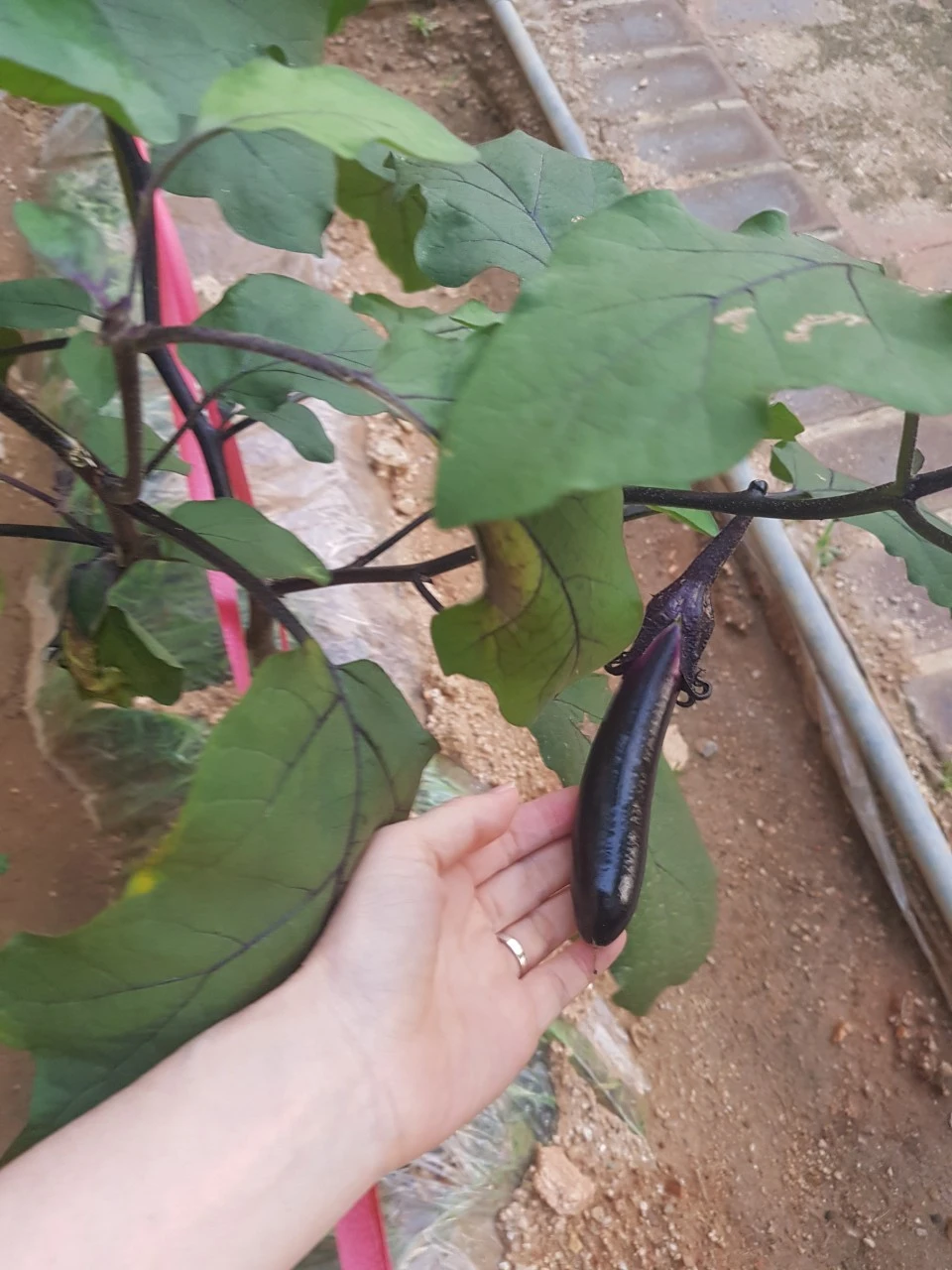 7_iebUd018svc1bdh928ktse8t_dem4yl.jpg?type=e1920_std