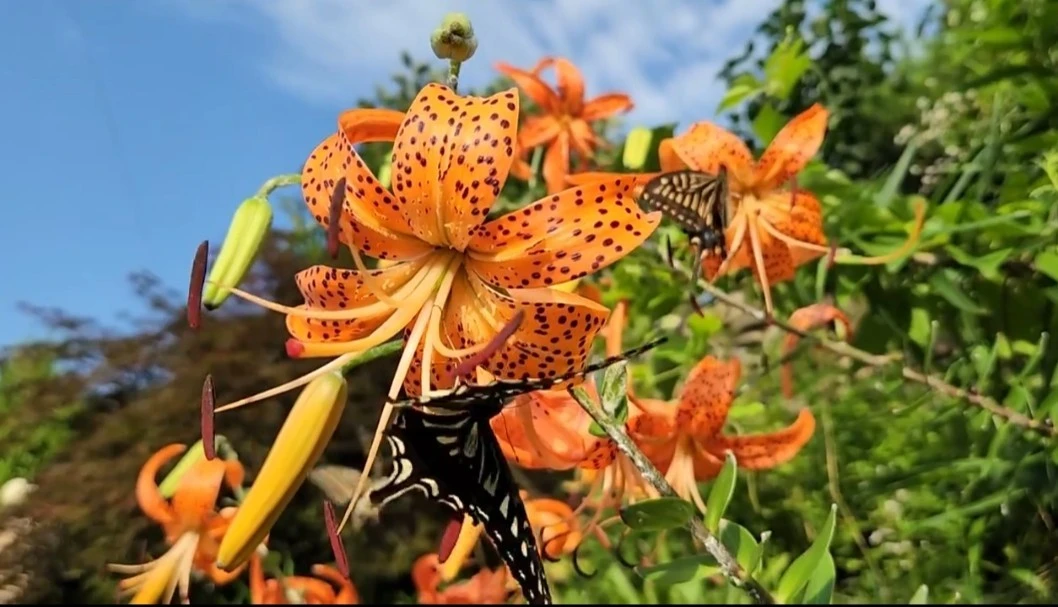 8_2g0Ud018svcg5asjlfj2y3k_dem4yl.jpg?type=e1920_std