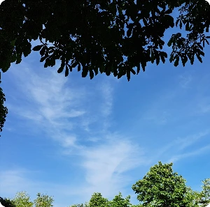 20220507%EF%BC%BF162337.jpg?type=w1