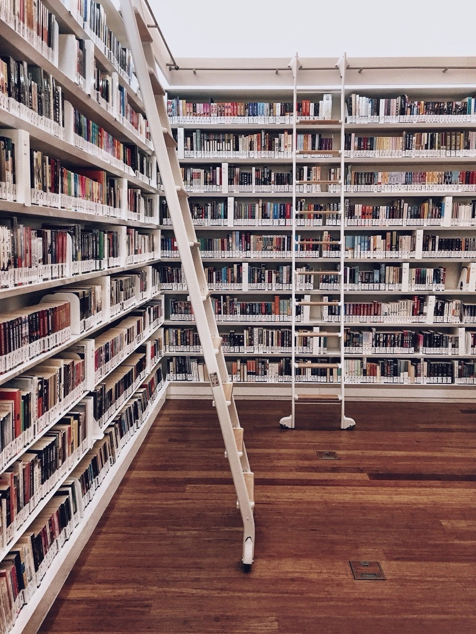 shelves-of-books-at-the-library-2023-11-27-04-59-15-utc 크게.jpeg