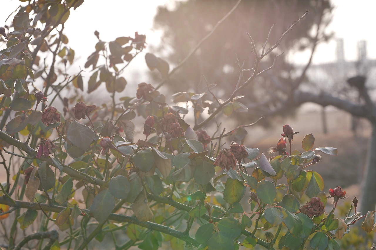 KakaoTalk_Photo_2022-08-06-06-53-40 003.jpeg