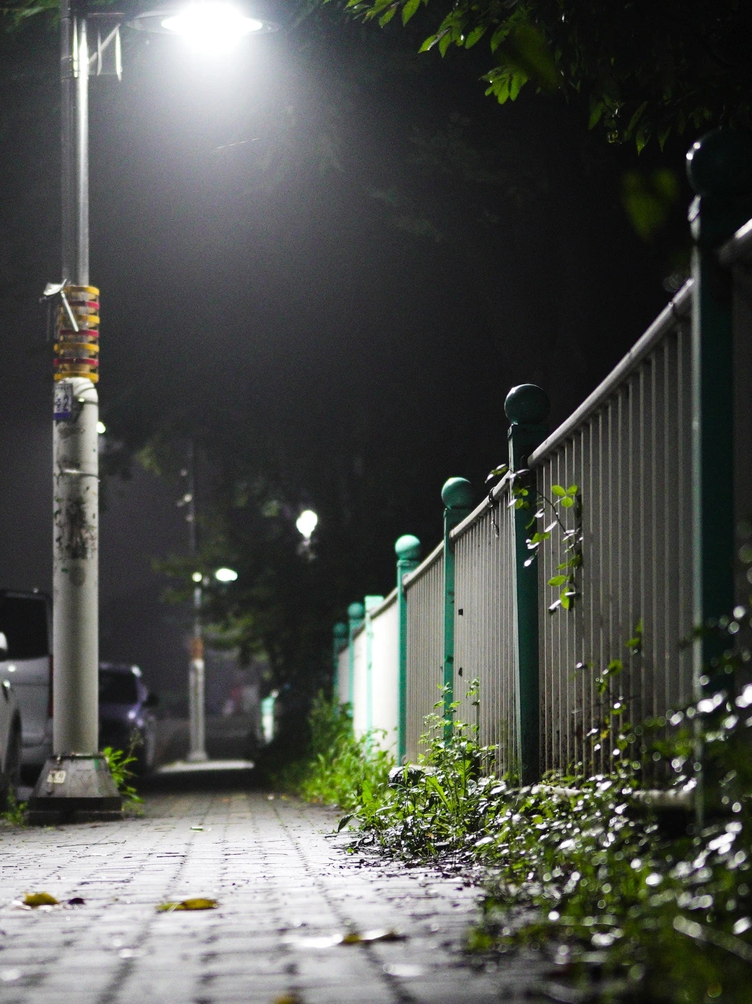 KakaoTalk_Photo_2022-07-04-23-26-02 003.jpeg