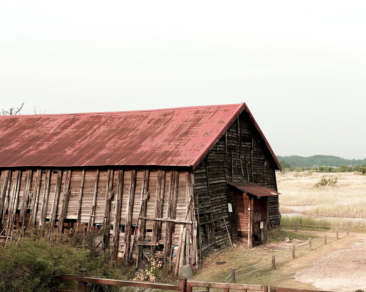 KakaoTalk_Photo_2022-08-06-06-53-23 001.jpeg