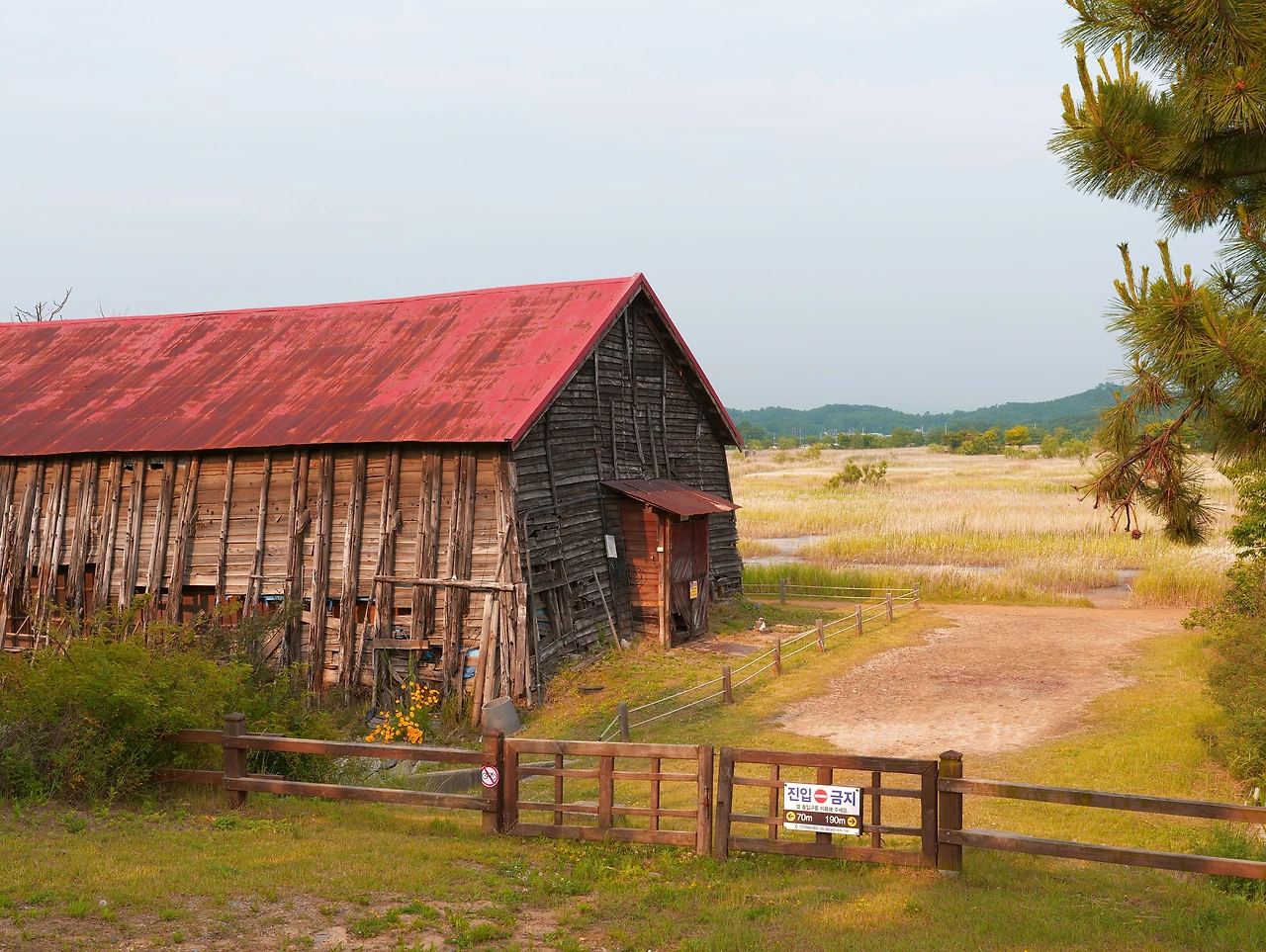 KakaoTalk_Photo_2022-08-06-06-53-25 002.jpeg