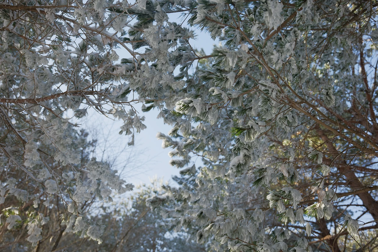 KakaoTalk_Photo_2022-08-06-06-53-39 001.jpeg