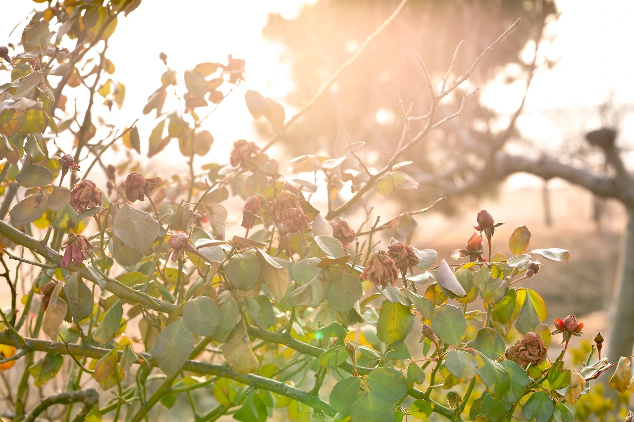 KakaoTalk_Photo_2022-08-06-06-53-40 004.jpeg