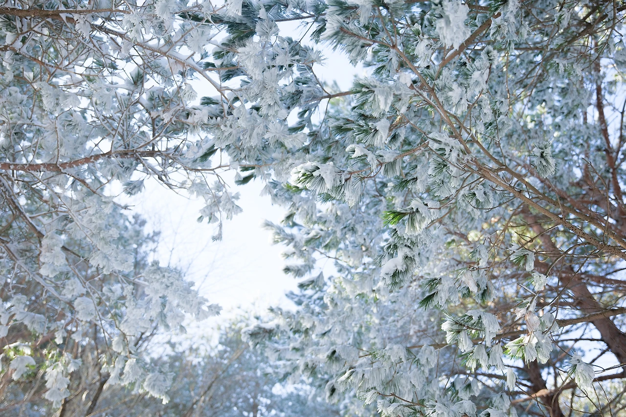 KakaoTalk_Photo_2022-08-06-06-53-40 002.jpeg