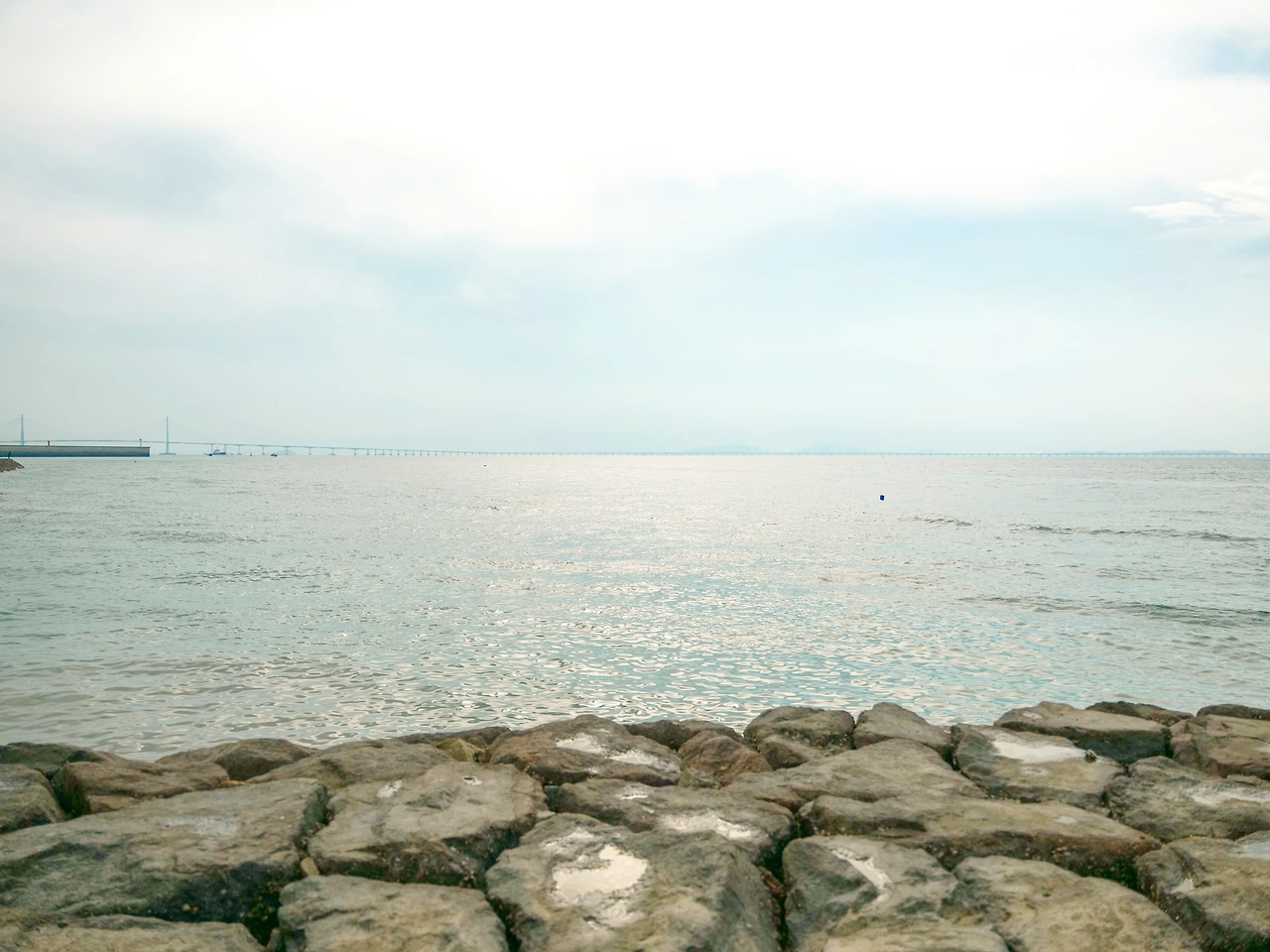 KakaoTalk_Photo_2022-08-06-06-53-25 003.jpeg