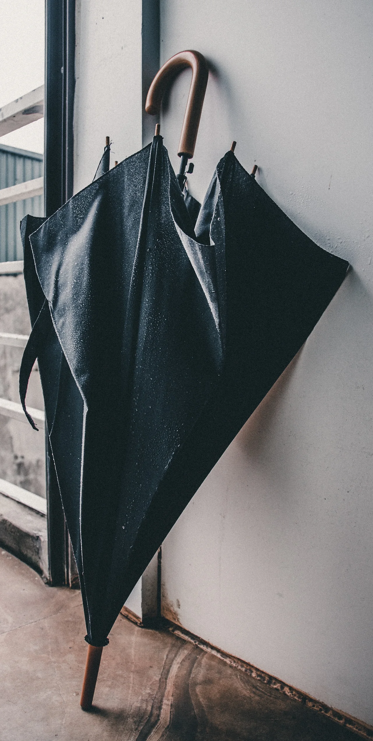 photo-1514882651048-f09572b0233e?ixlib=rb-1.2.1&amp;ixid=MnwxMjA3fDB8MHxwaG90by1wYWdlfHx8fGVufDB8fHx8&amp;auto=format&amp;fit=crop&amp;w=1000&amp;q=80