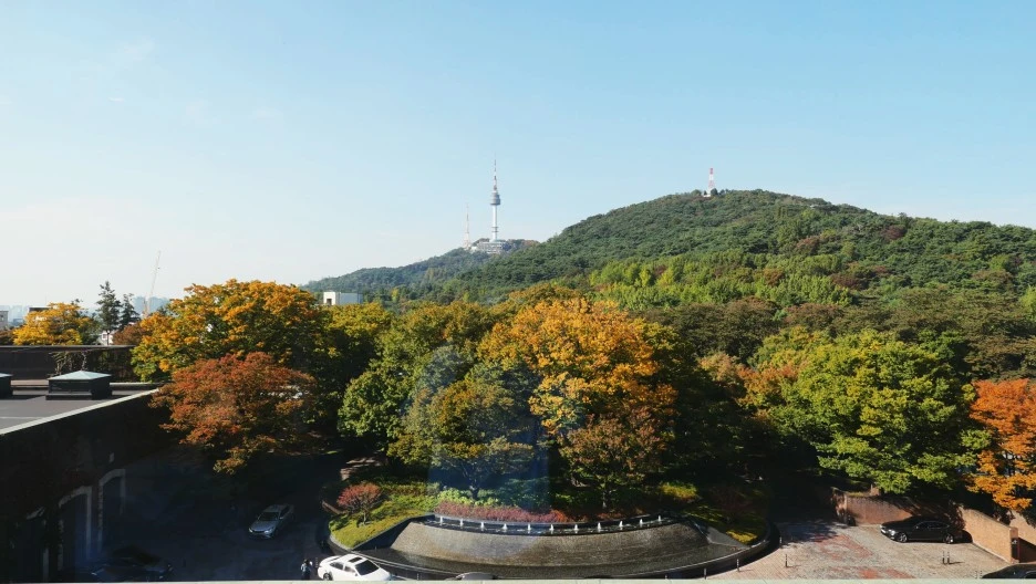 SE-f6ee43d7-c2b3-4113-9f91-4e68809d218e.jpg?type=w1