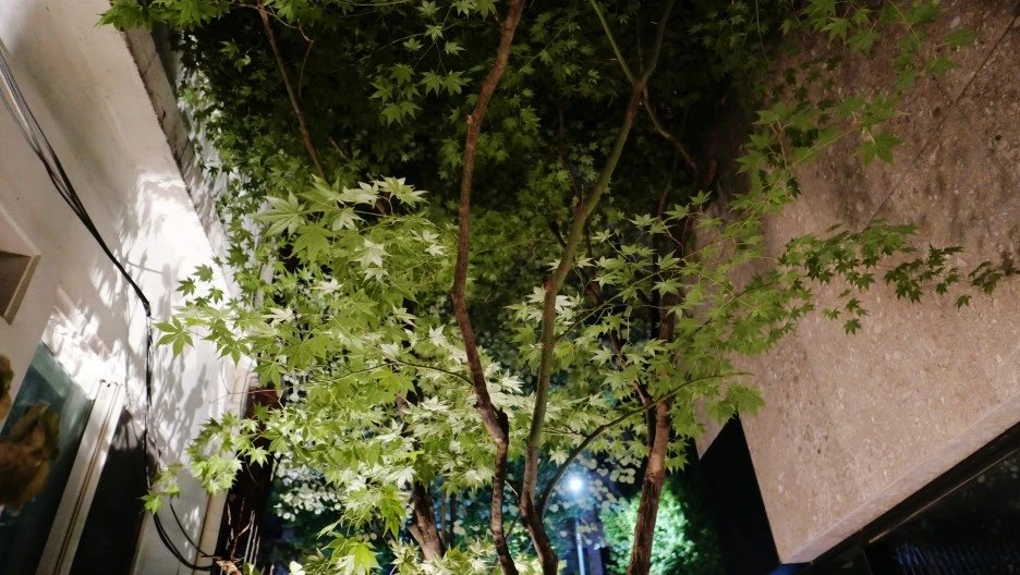 SE-59f3fc9e-c185-47e4-a69c-c91f349fd930.jpg?type=w1