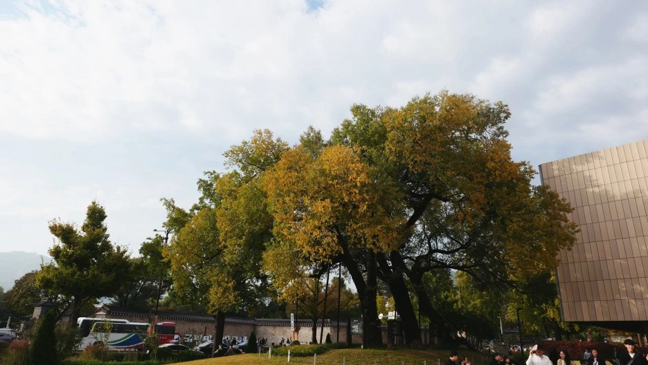 SE-CAB20BD6-BE09-4B5F-90D5-27B649263B43.jpg?type=w1