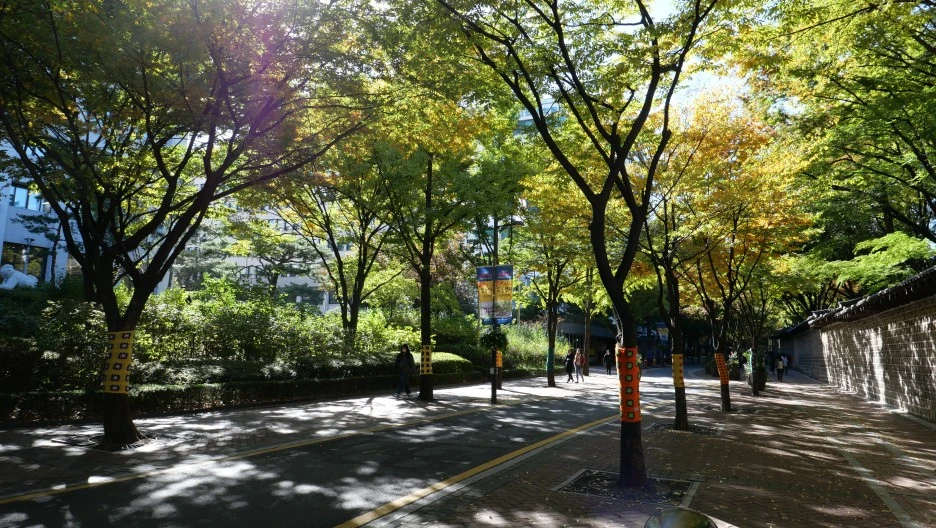 DO01013292.JPG?type=w1