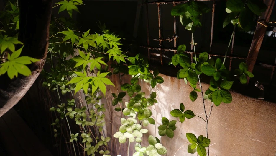 SE-8b9cdd48-3300-4553-b697-2c6bd3980ef2.jpg?type=w1