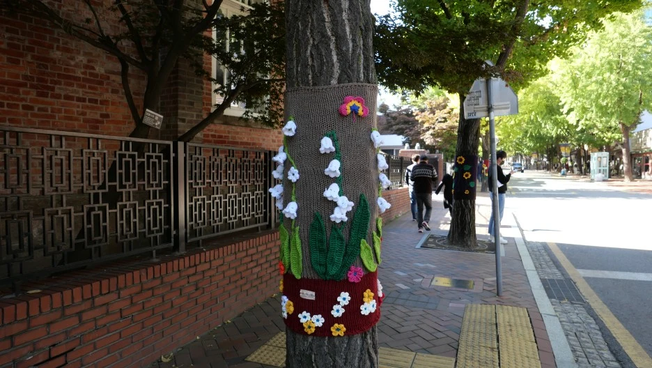 DO01013306.JPG?type=w1