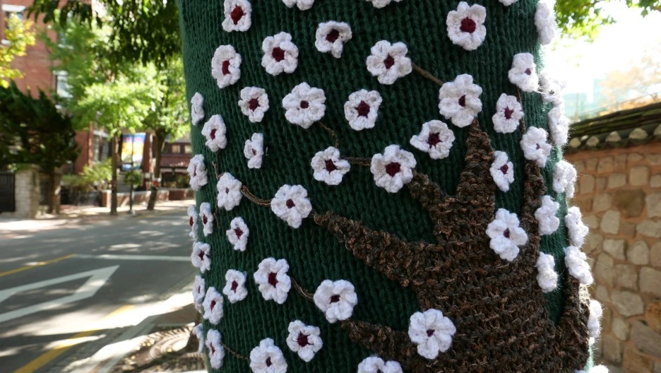 DO01003246.JPG?type=w1