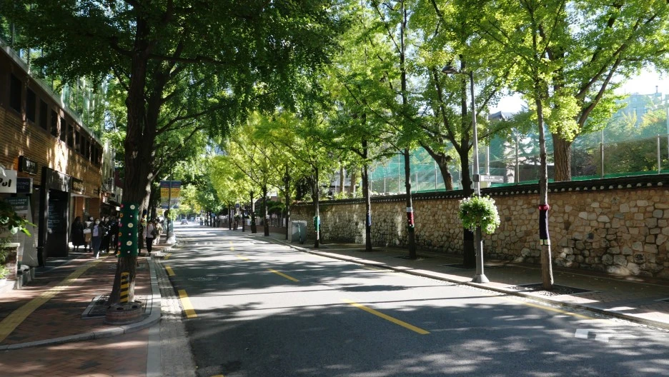 SE-94D35A6B-7C78-4092-B46E-28B36547C9F1.jpg?type=w1