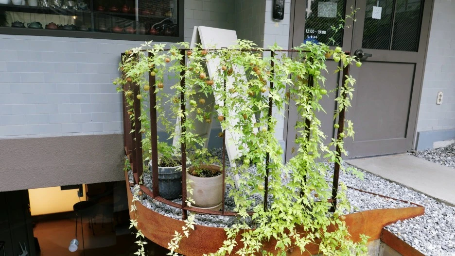 SE-d2ca968f-27cf-496e-b953-ca707ff89d43.jpg?type=w1