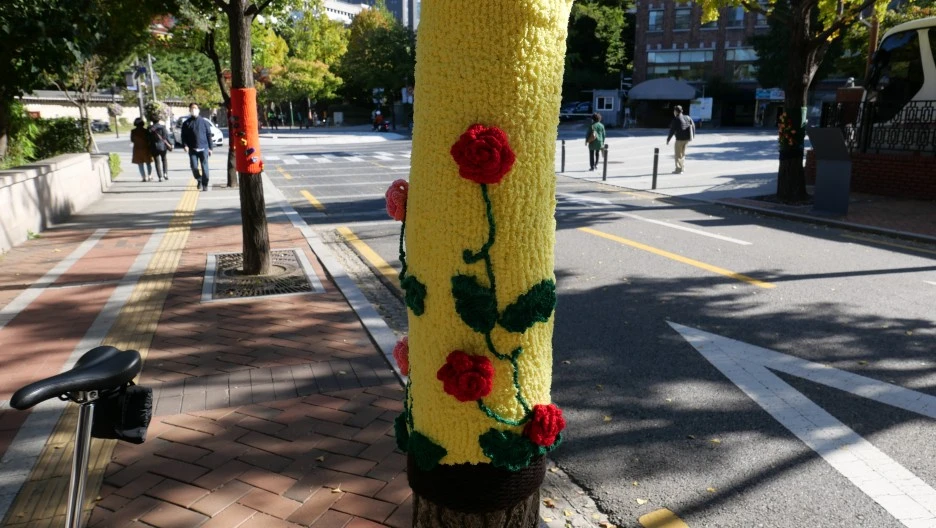 DO01013305.JPG?type=w1