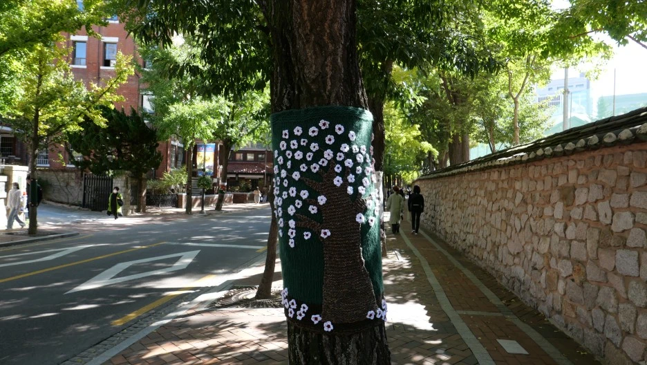 DO01003245.JPG?type=w1