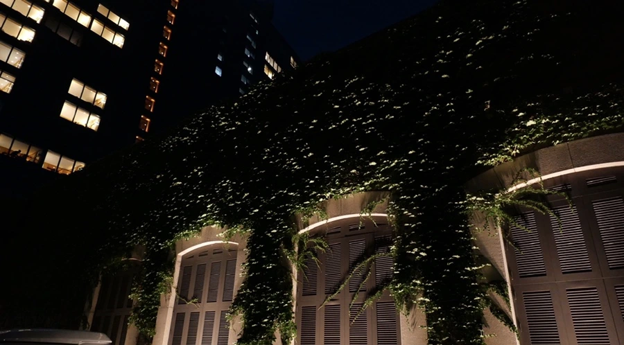 IMG_2804.jpg?type=w1