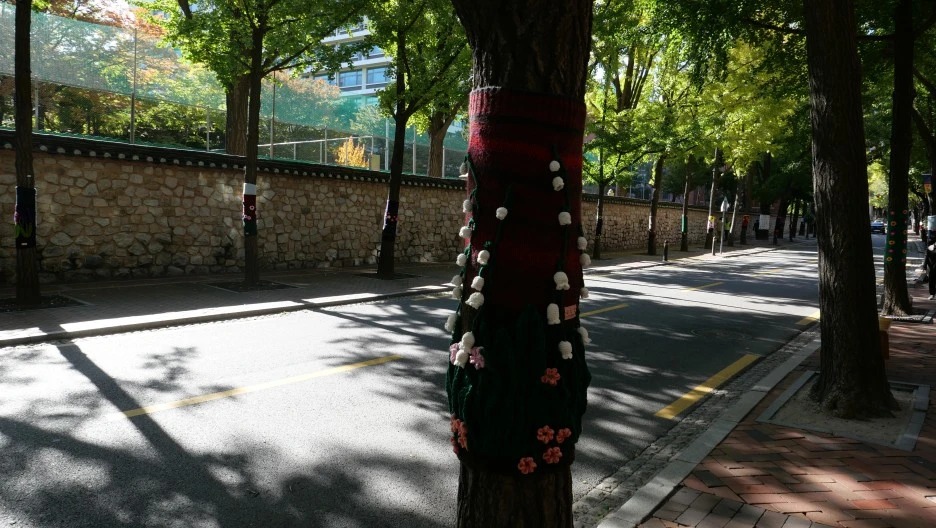 DO01013312.JPG?type=w1