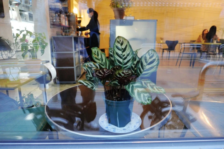 SE-8DFD40C0-89B0-4A68-A612-64F3F90D91C9.jpg?type=w1