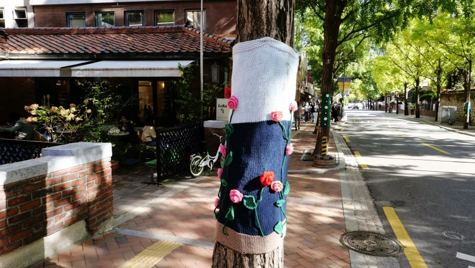 SE-E083E78E-8F63-4AEB-BC20-F6D26ED65BF9.jpg?type=w1