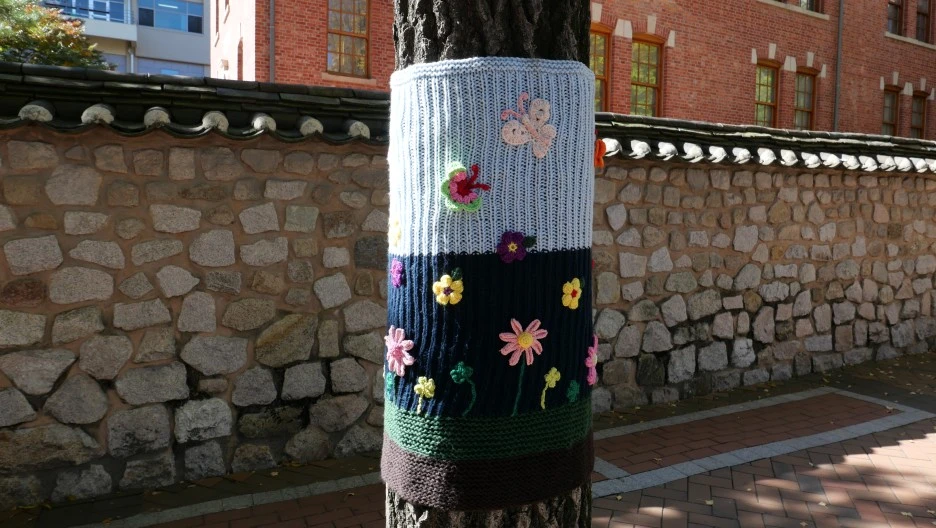 DO01003243.JPG?type=w1