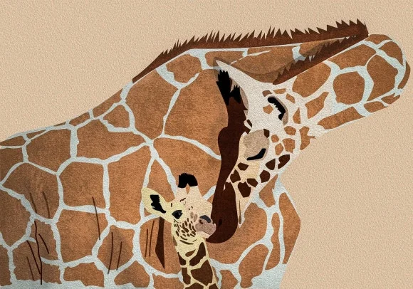 giraffe-8250955_1280.jpg?type=w580