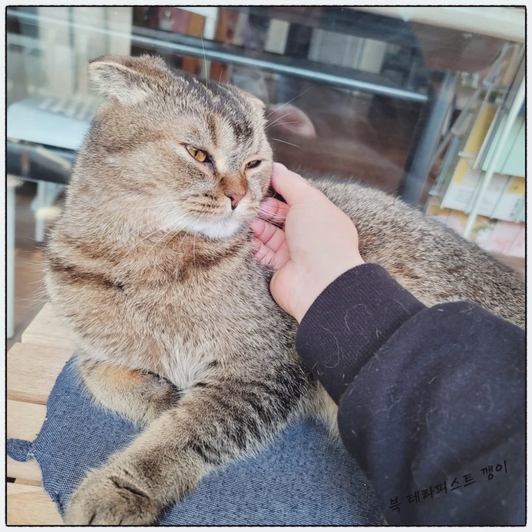 SE-13d5731b-f228-40e7-84cc-998978b12d6e.jpg?type=w773