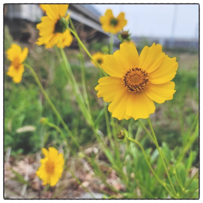 SE-c550e22b-d961-11ec-ab45-7918badbdacd.jpg?type=w773