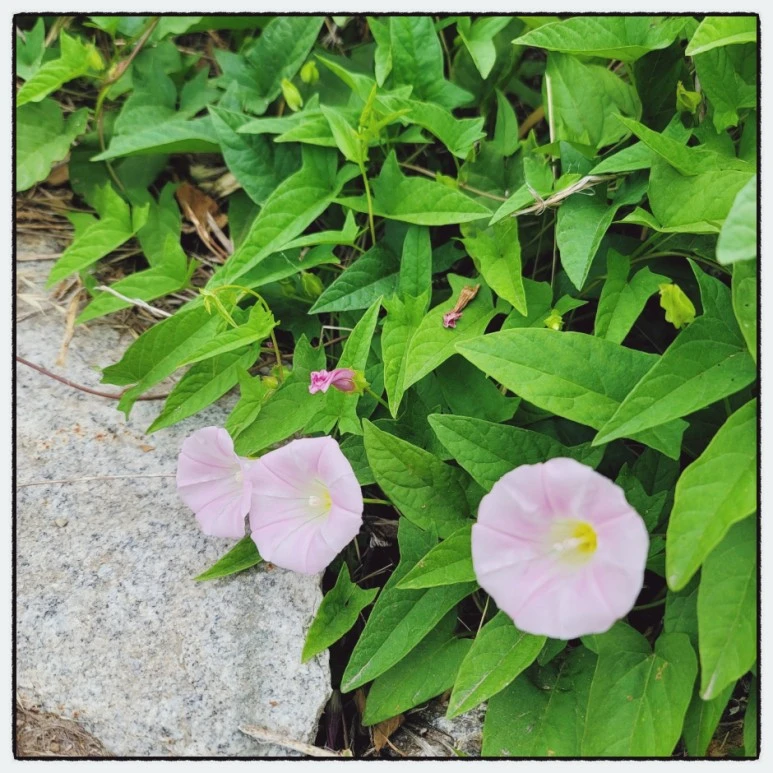 SE-c550e22c-d961-11ec-ab45-3588ad0a49ae.jpg?type=w773