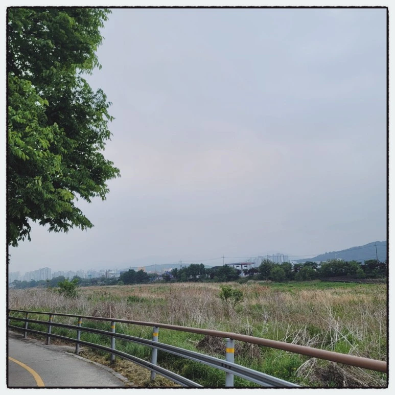 SE-c550e228-d961-11ec-ab45-13089da843e5.jpg?type=w773