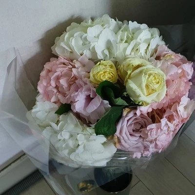 SE-5a6cf9d1-1af9-416e-a1d8-1cc899ba9b26.jpg?type=w1600