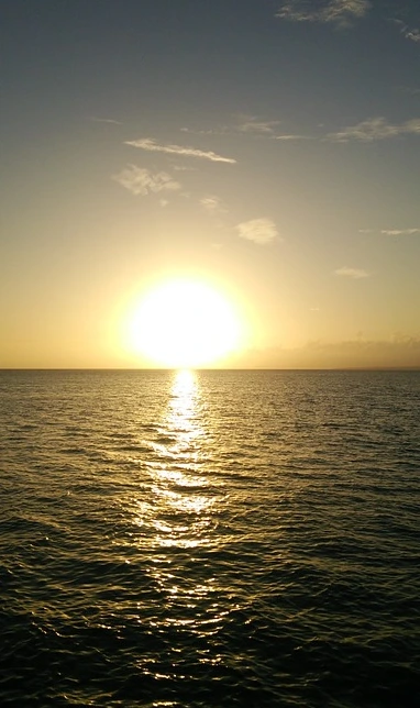 2016-05-11_11;11;41.PNG?type=w1