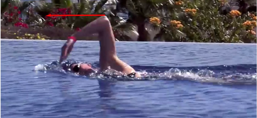 %ED%8C%94%EA%BF%88%EC%B9%98%EC%9D%B4%EB%8F%991.PNG?type=w1