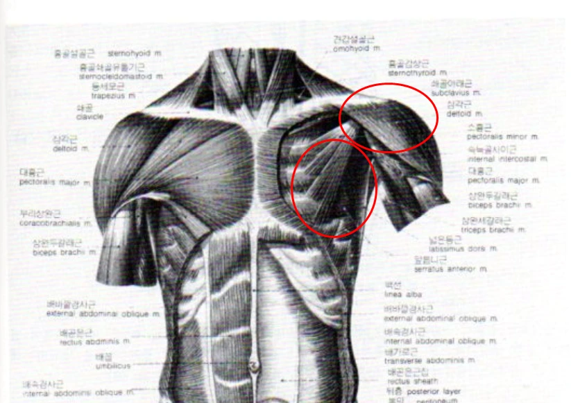 %EC%82%BC%EA%B0%81%EA%B7%BC%EA%B4%91%EB%B0%B0%EA%B7%BC.PNG?type=w1