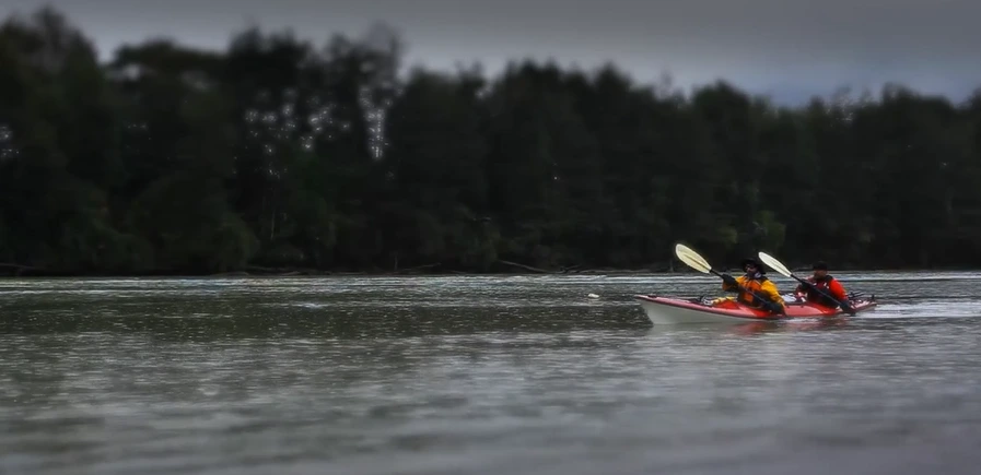 2016-06-08_13;40;28.PNG?type=w1