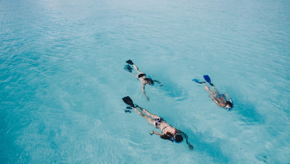 %EB%B0%94%EB%8B%A4%EC%88%98%EC%98%818.PNG?type=w966