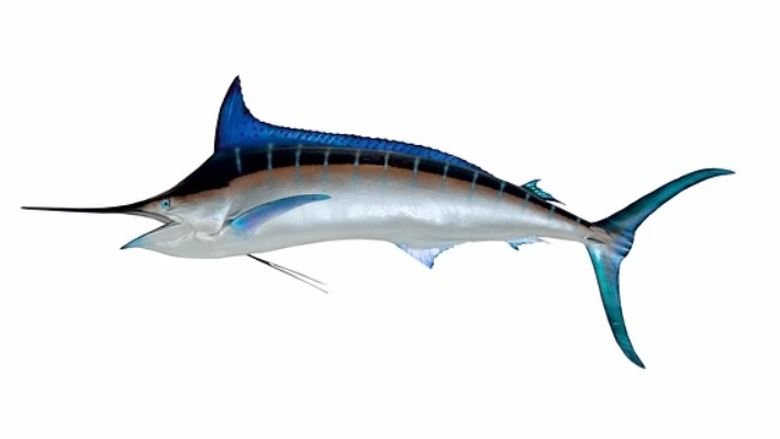 2022-11-25 15;44;54.PNG