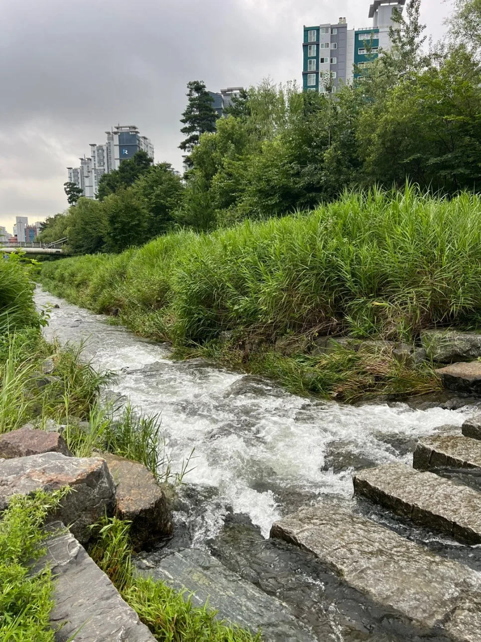 KakaoTalk_20240720_102942164_03.jpg?type=w966