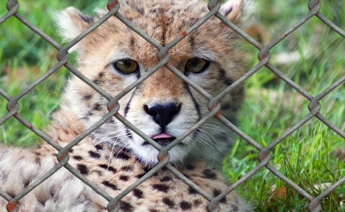 %EC%9E%90%EC%9C%A02.PNG?type=w1