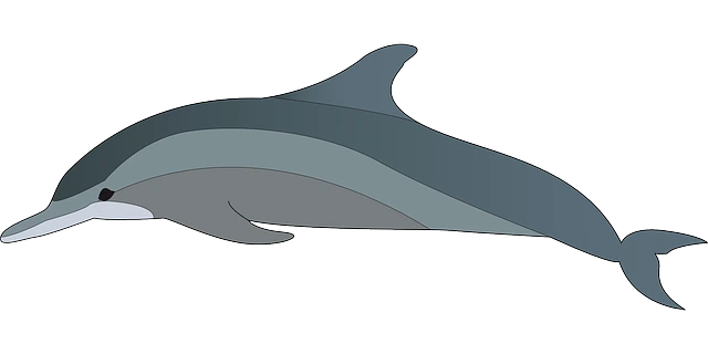 %EB%8F%8C%EA%B3%A0%EB%9E%983.png?type=w1