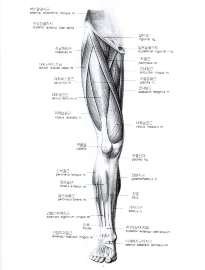 %EB%8C%80%ED%87%B4%EC%82%AC%EB%91%94%EA%B7%BC.PNG?type=w1