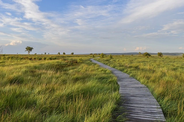 %EA%B8%B8.jpg?type=w1