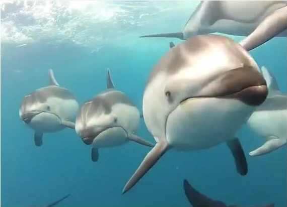 %25B5%25B9%25B0%25ED%25B7%25A1%25BC%25F6%25BF%25B5.jpg?type=w1